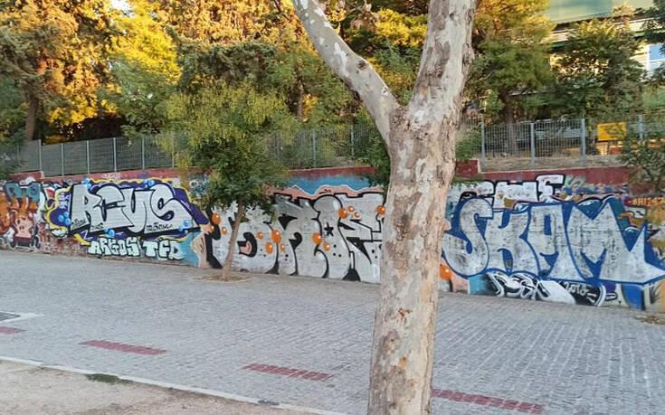 τοιχογραφίες