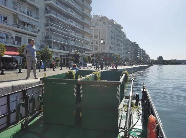 φορτηγίδα Αλκίππη 2