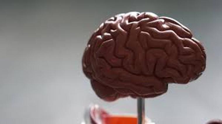 ο ανδρικός εγκέφαλος ζυγίζει – κατά μέσον όρο – περίπου 1.273 γραμμάρια, ενώ ο γυναικείος περίπου 1.131