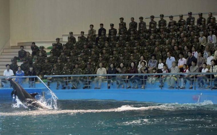 Απαγορεύεται να φωτογραφίζεις στρατιώτες, αλλά επιτρέπεται να φωτογραφίσεις τα δελφίνια