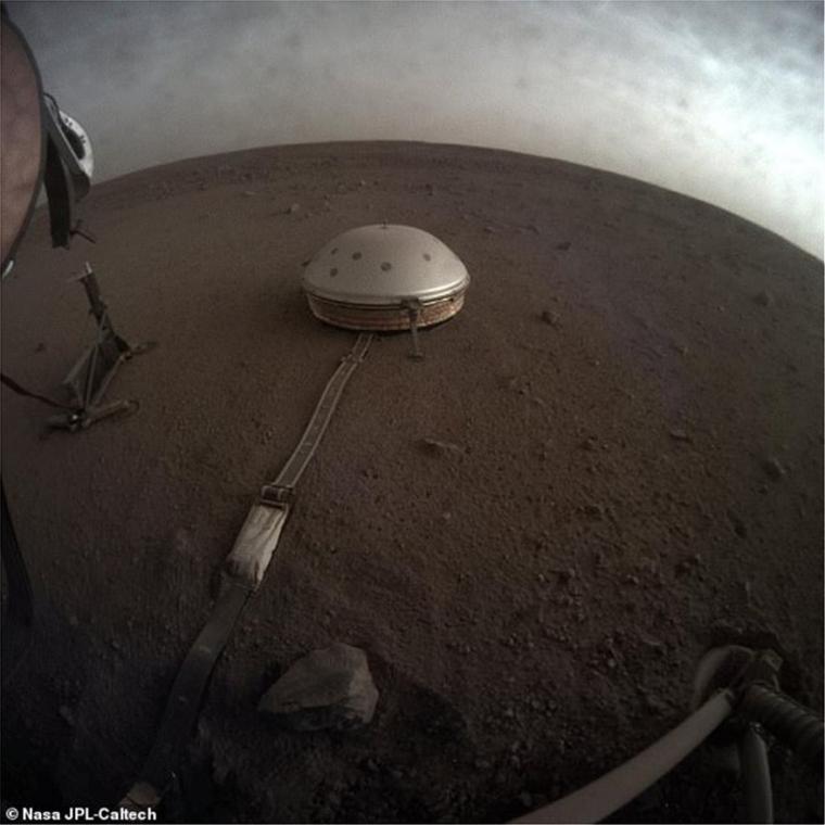 Insight Lander