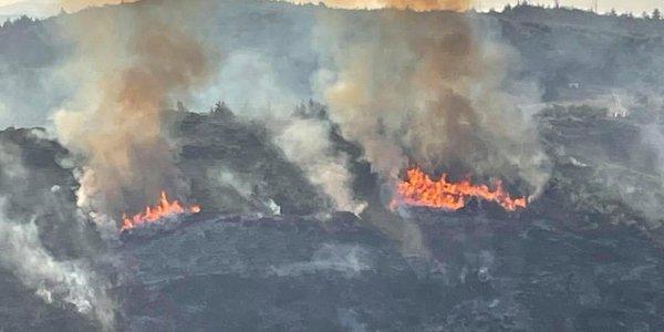 Φωτιά στον Κάλαμο