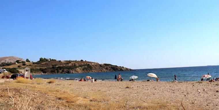 Η μικρή αμμουδερή παραλία Θυμάρι με το ψιλό χαλικάκι βρίσκεται λίγο μετά την Παλαιά Φώκαια και ικανοποιεί όλα τα γούστα των επισκεπτών της. Ένα κομμάτι της, λόγω της ήρεμης θάλασσας, προσελκύει οικογένειες και όσους επιθυμούν να κολυμπούν σε… χαρτογραφημένα νερά, ενώ όσοι επιθυμούν απομόνωση και… διαπροσωπική επαφή ένα μικρό βοτσαλωτό παραλιακό ξέφωτο αναδεικνύει το εξωτικό… Θυμάρι.