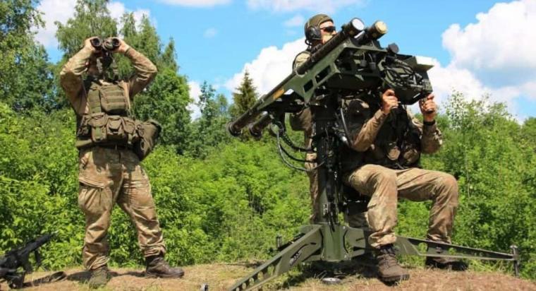 FIM-92 Stinger DMS