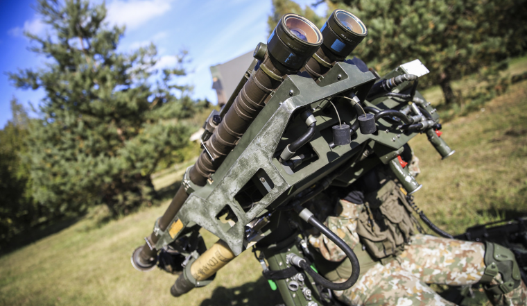 FIM-92 Stinger DMS