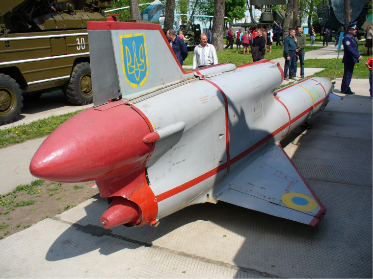 Tu-143 Reys