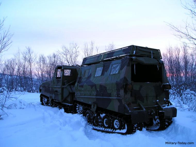 Bandvagn 202 