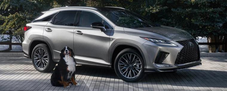 2022 Lexus RX