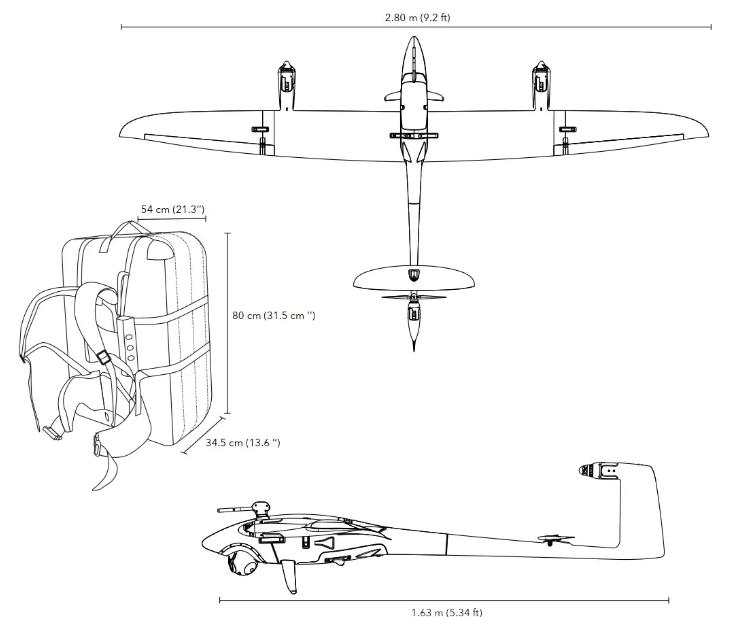 Vector 