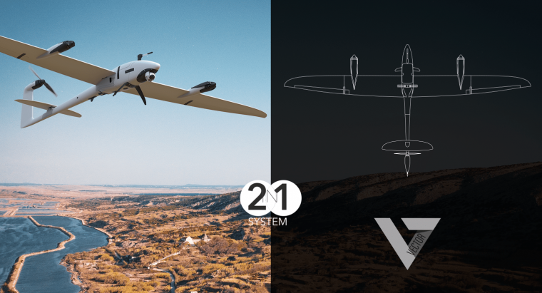 Vector 