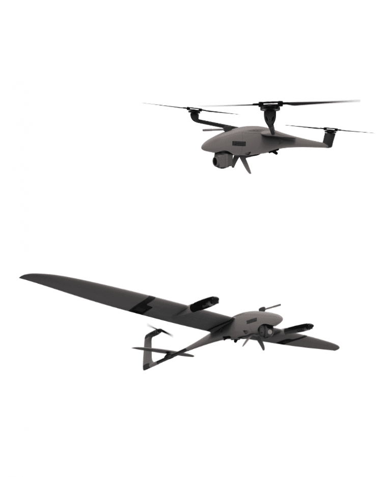 Vector 