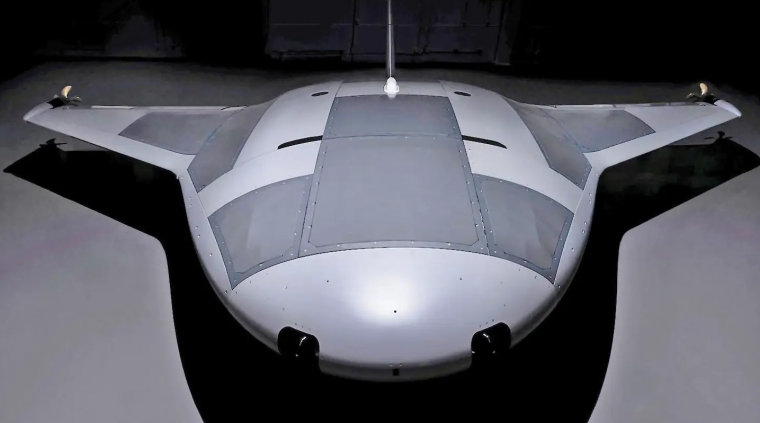 Manta Ray