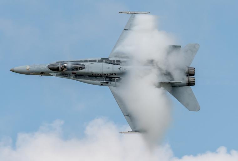 F-16 Hornet