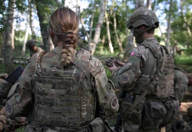 Δανία - Στρατός