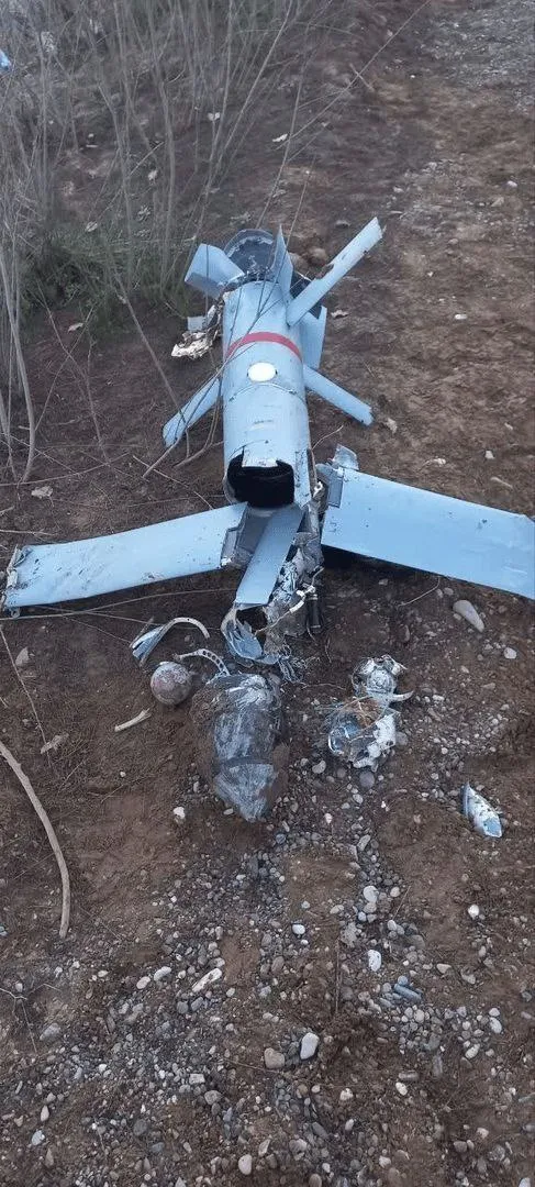 φρουροι της επανάστασης 