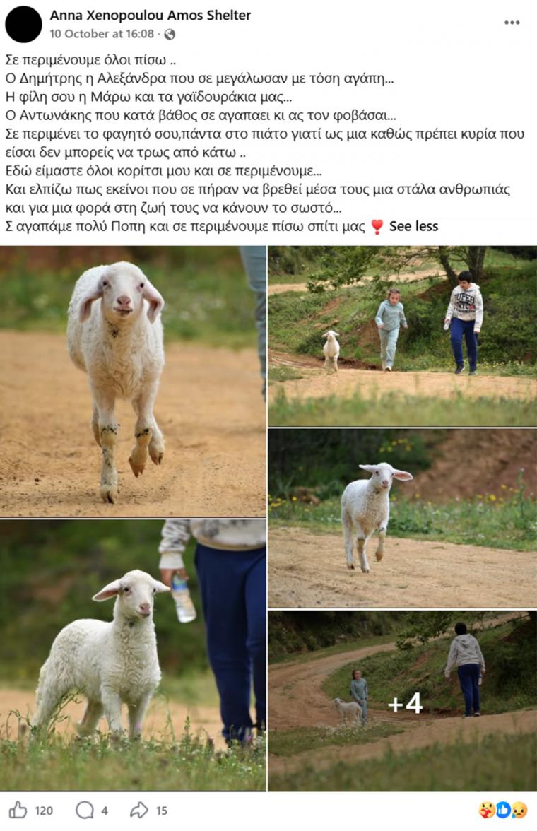popi