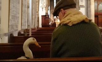 πάπια, εκκλησία