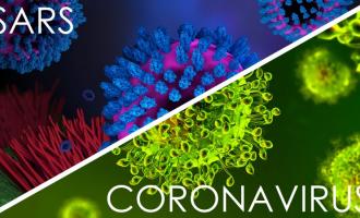 coronovirus sars