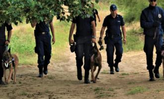 συνοριοφύλακες στον Έβρο