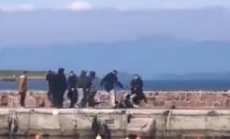 ΜΚΟ στη Λέσβο