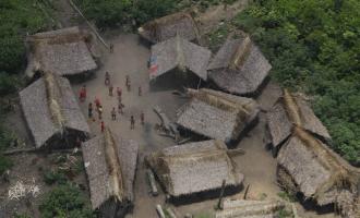 Φυλές Αμαζονίου