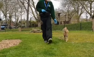 ζωολογικος κηπος