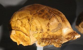 αρχαιότερο κρανίο Homo erectus