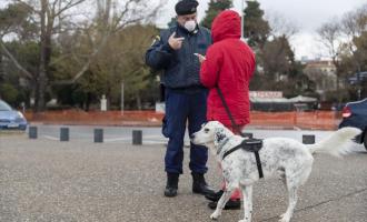 βεβαίωση μετακίνησης