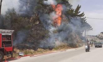 Φωτιά στο Αργάσι