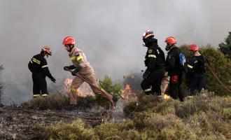 Φωτιά στο Βασιλικό