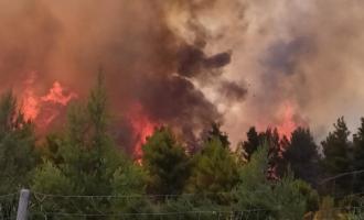 Φωτιά στο Μαρτίνο