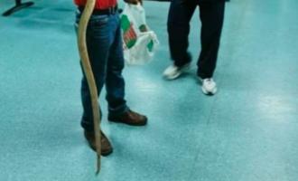 Αλεξάνδρεια Ημαθίας