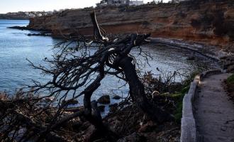 παράλια στο Μάτι
