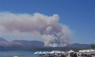 φωτιά στη Μάνη