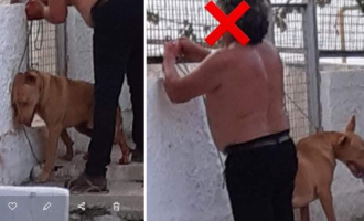 υπάλληλος ΔΕΗ