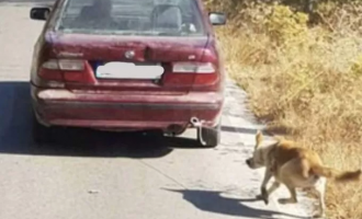 κακοποίηση ζώου