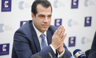 Πλεύρης