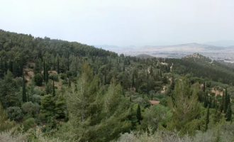 Δάσος