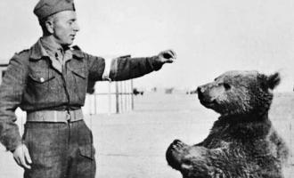 στρατιώτης με αρκούδα