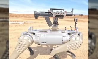 robot dog