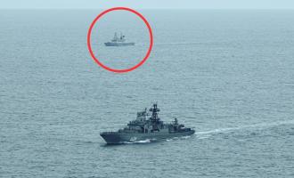 nato-rosia-ploia