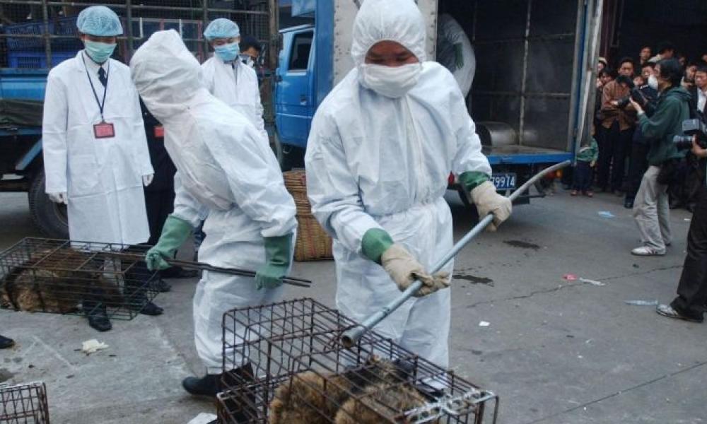 Εμπόριο ζώων στην Κίνα