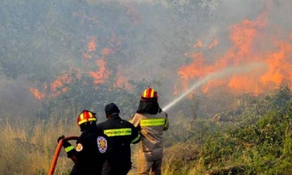 δάσος πυρκαγιά