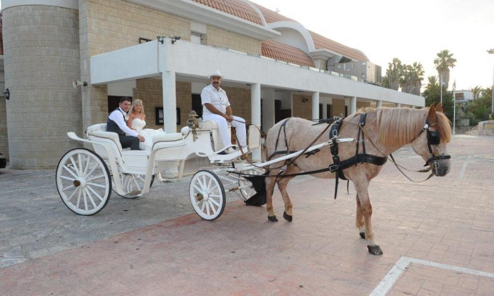 άμαξα με άλογα γάμος