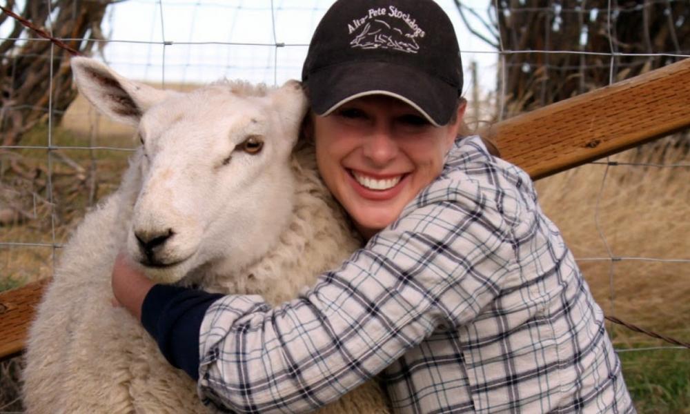 αγκαλιά με πρόβατο
