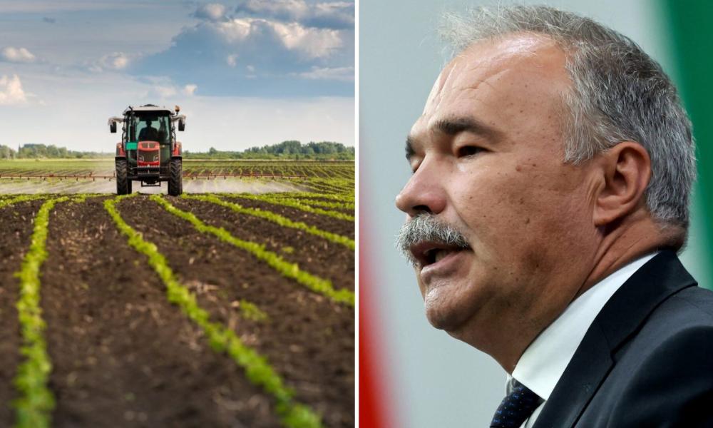 σιτηρά και Ούγγρος υπουργός γεωργίας