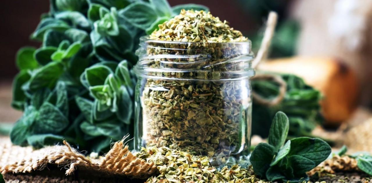 Το ελληνικό βότανο που λέει ''αντίο'' στην χοληστερόλη | Pentapostagma