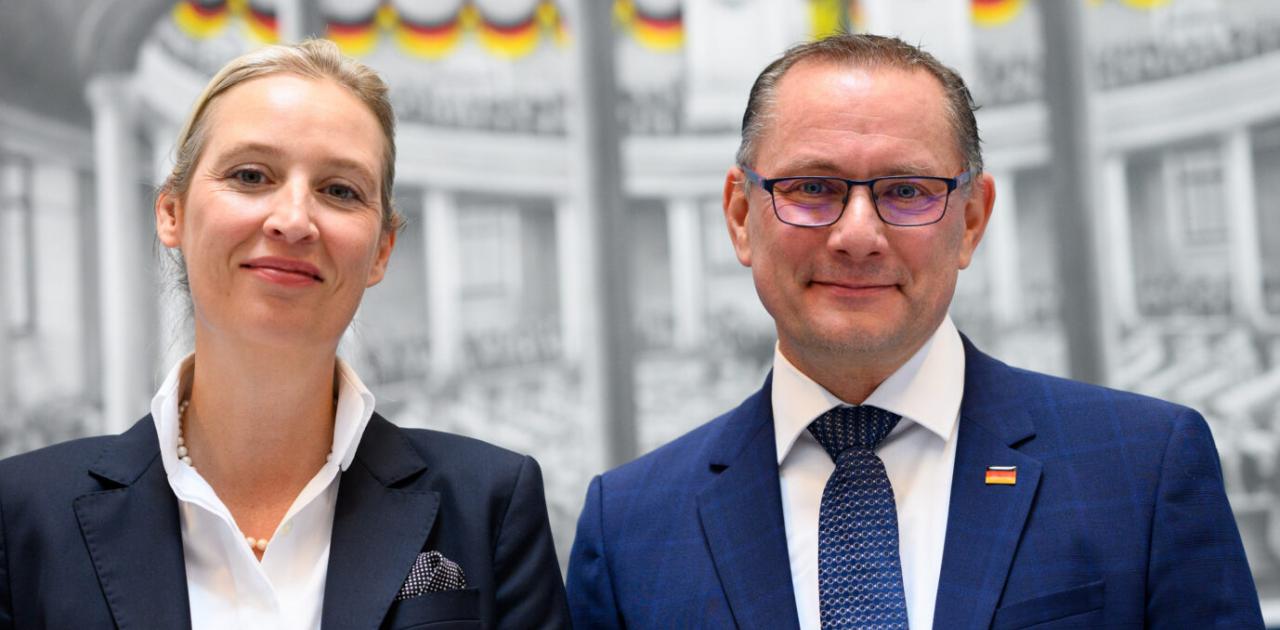 Γερμανία: Η AfD προηγείται οκτώ μονάδες από το κόμμα του Σολτς ...