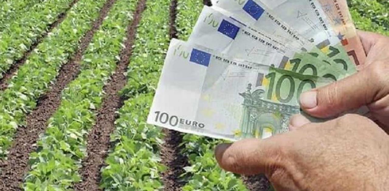 Αύριο καταβάλλονται οι πληρωμές για ζημιές φυτικής παραγωγής και ζωικού κεφαλαίου