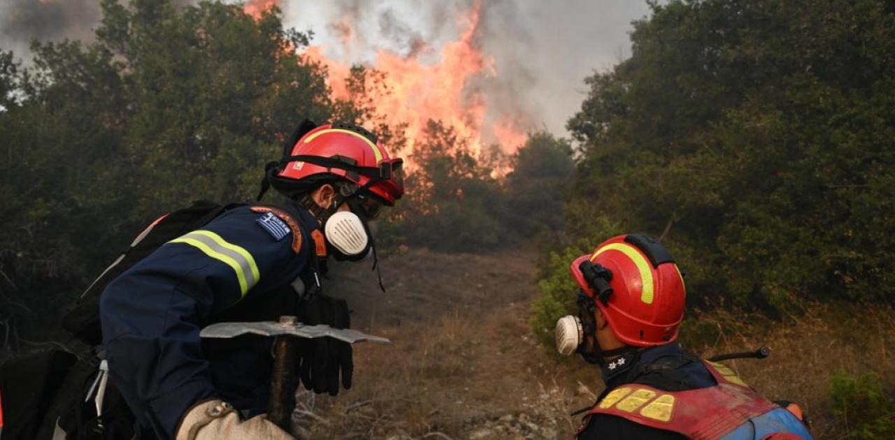 Πυρκαγιά σε δασική έκταση στην Ασπροκκλησιά Καλαμπάκας
